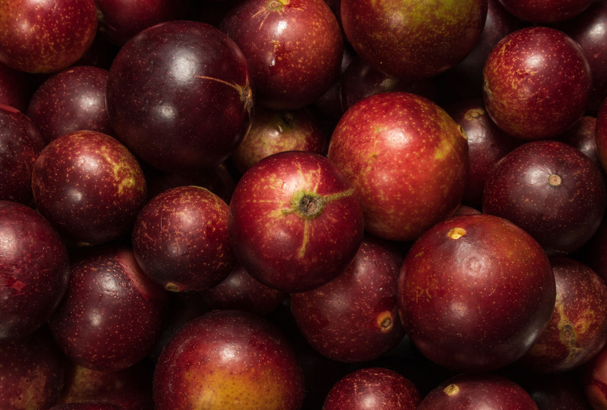 Nature’s Highest Levels of Vitamin C – Camu Camu