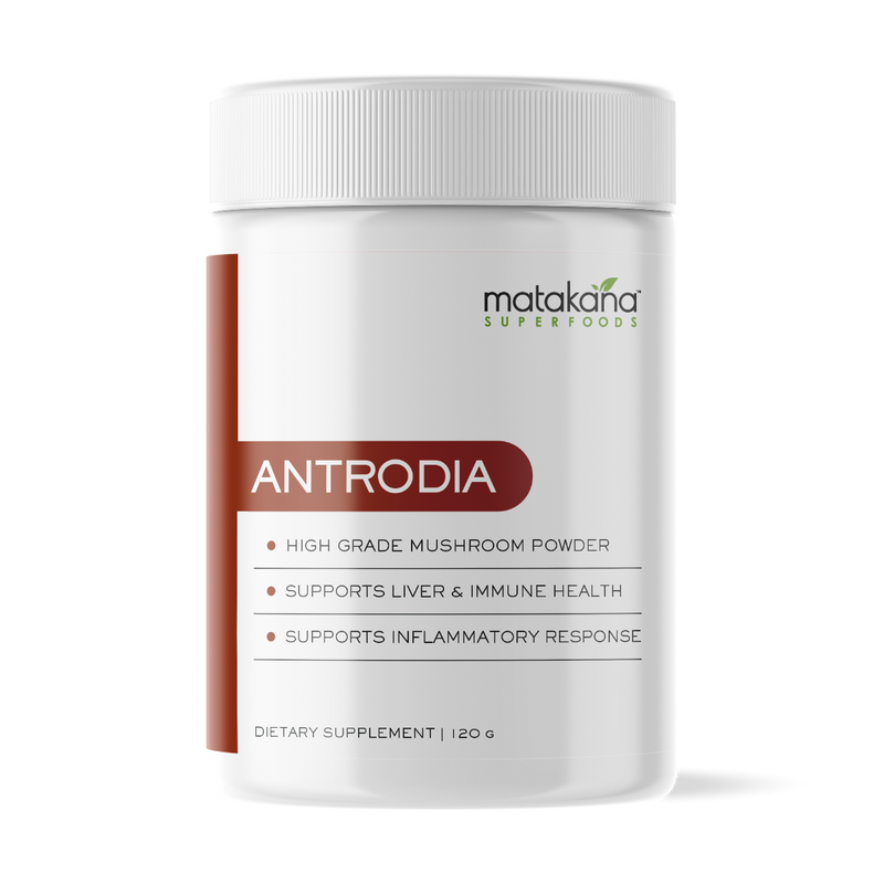 Antrodia Mushroom