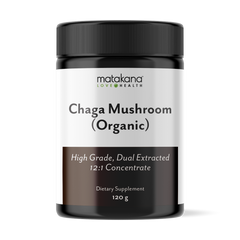 Chaga Mushroom
