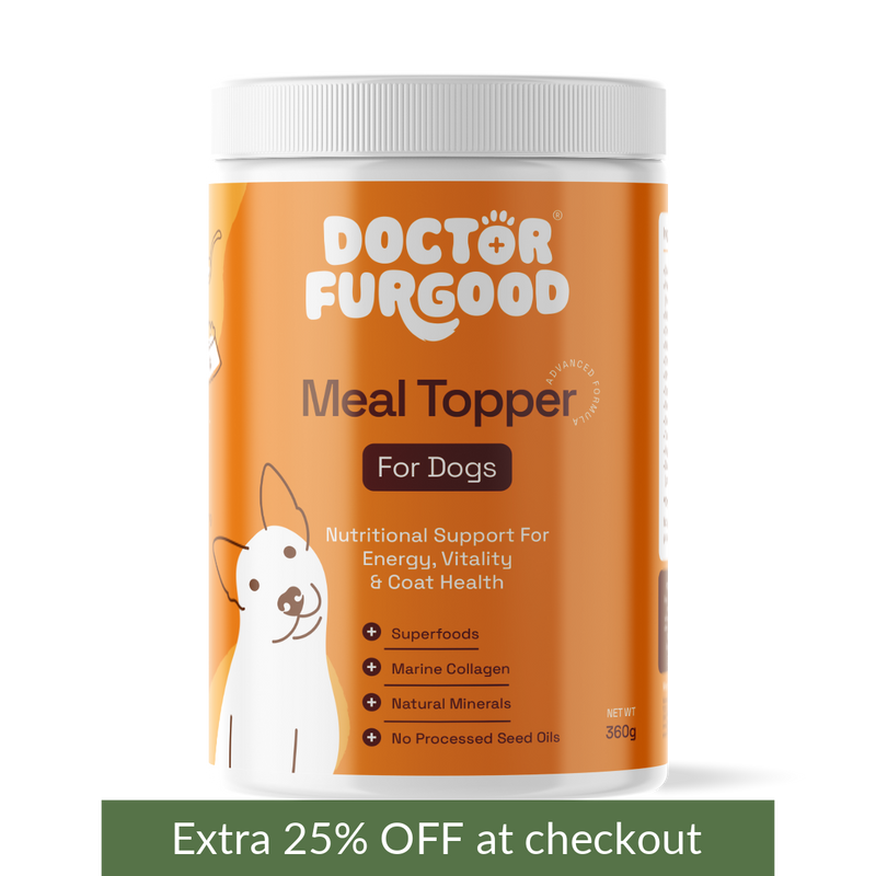 Dog Meal Topper