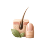 Hair/Skin/Nails