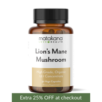 Lion's Mane Capsules