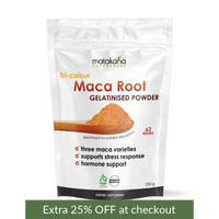 Maca Root Gelatinised Powder