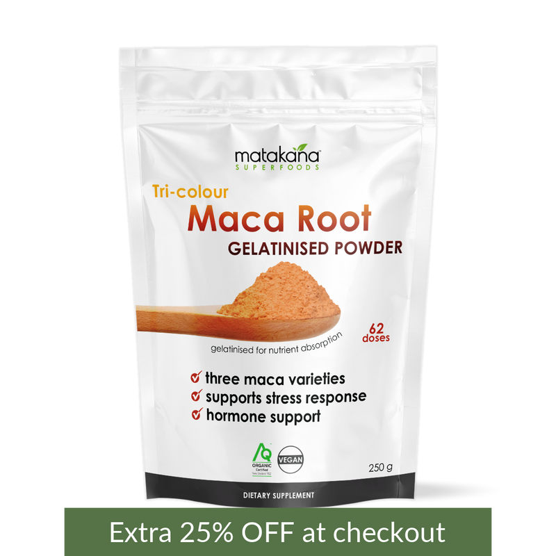 Maca Root Gelatinised Powder