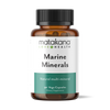Marine Minerals