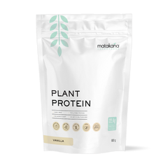 Plant Protein