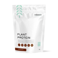 Plant Protein