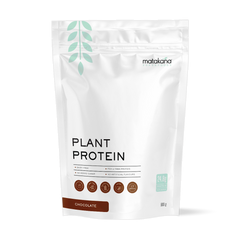 Plant Protein