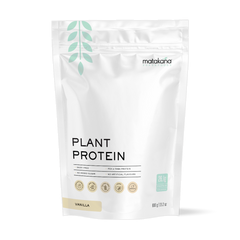 Plant Protein