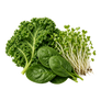 Vegetable