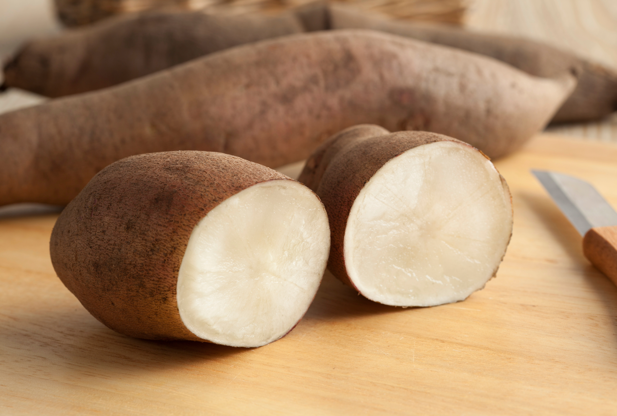 Yaco Root Yacon Root Powder – Matakana Superfoods